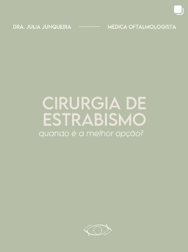 Captura de tela 2025-04-05 115743